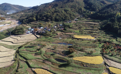 순천대흥 생태학습장 사진