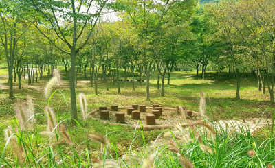 화순사평 생태학습장 사진