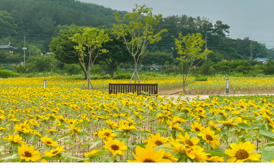 화순사평 생태학습장 사진