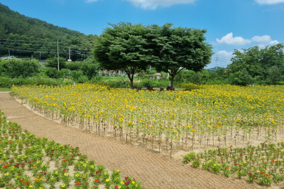 계절화원사진