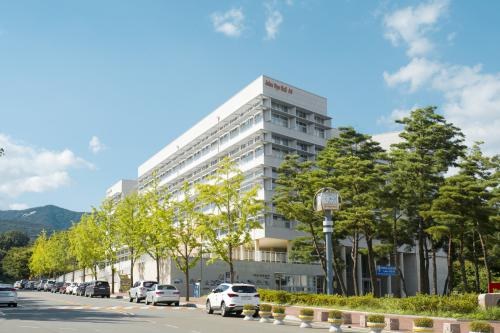 대구가톨릭대학교